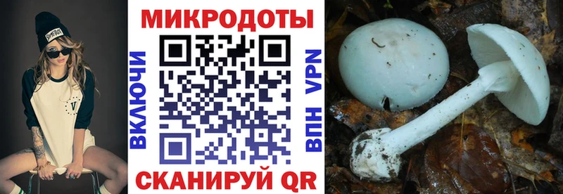 где купить наркоту  Афипский  Псилоцибиновые грибы мухоморы 